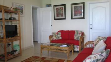 Smart TV, DVD player, books, stereo