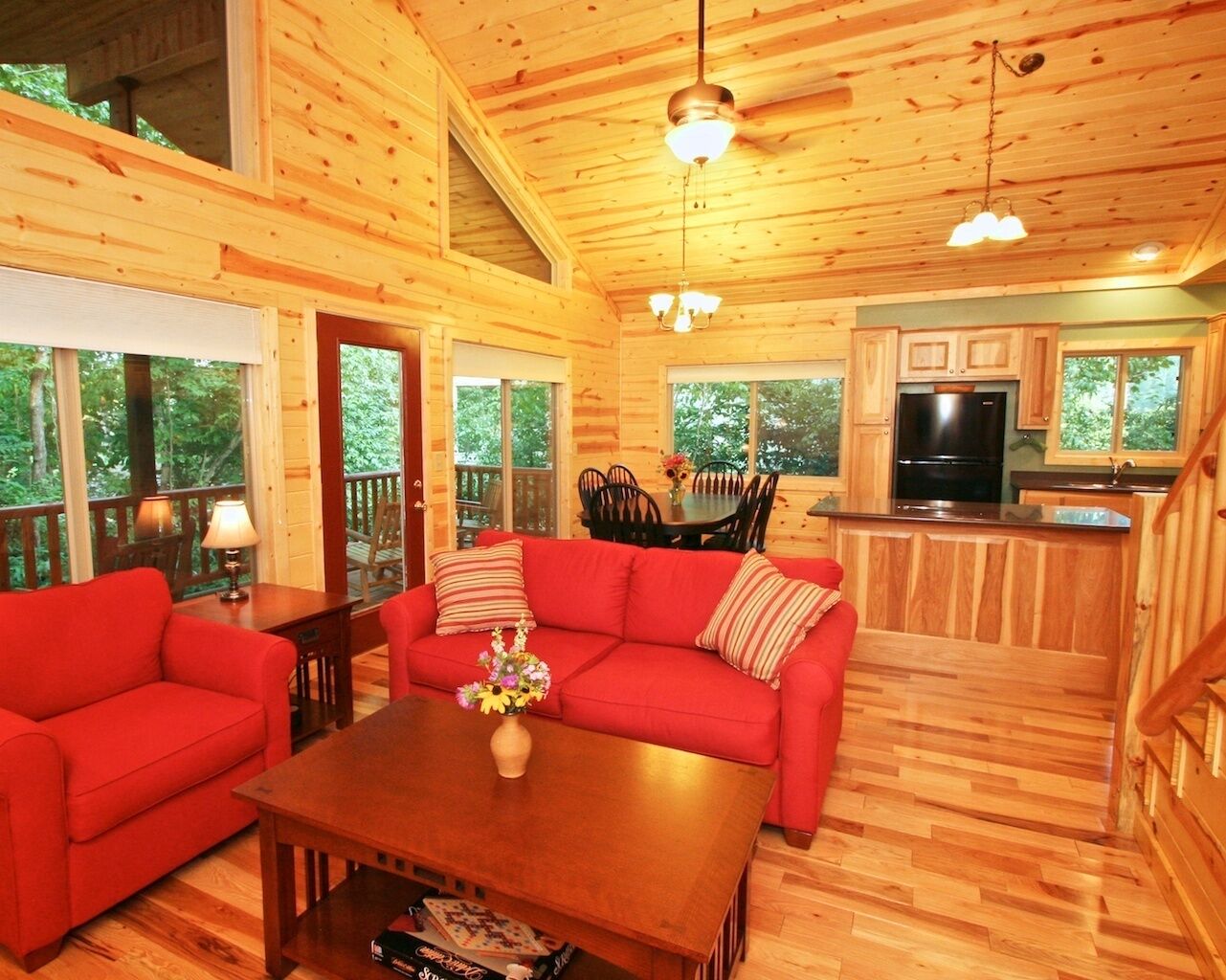 Smart-tv, pejs, dvd-afspiller