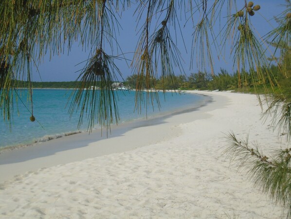 On the beach, sun-loungers, beach towels