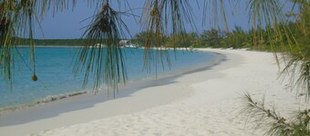 DIRECTLY on HOOPERS BAY BEACHFRONT 2 BED/2 BATH  APT  with STARLINK fast WIFI