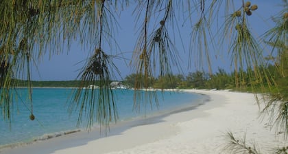 DIRECTLY on HOOPERS BAY BEACHFRONT 2 BED/2 BATH APT with STARLINK fast WIFI