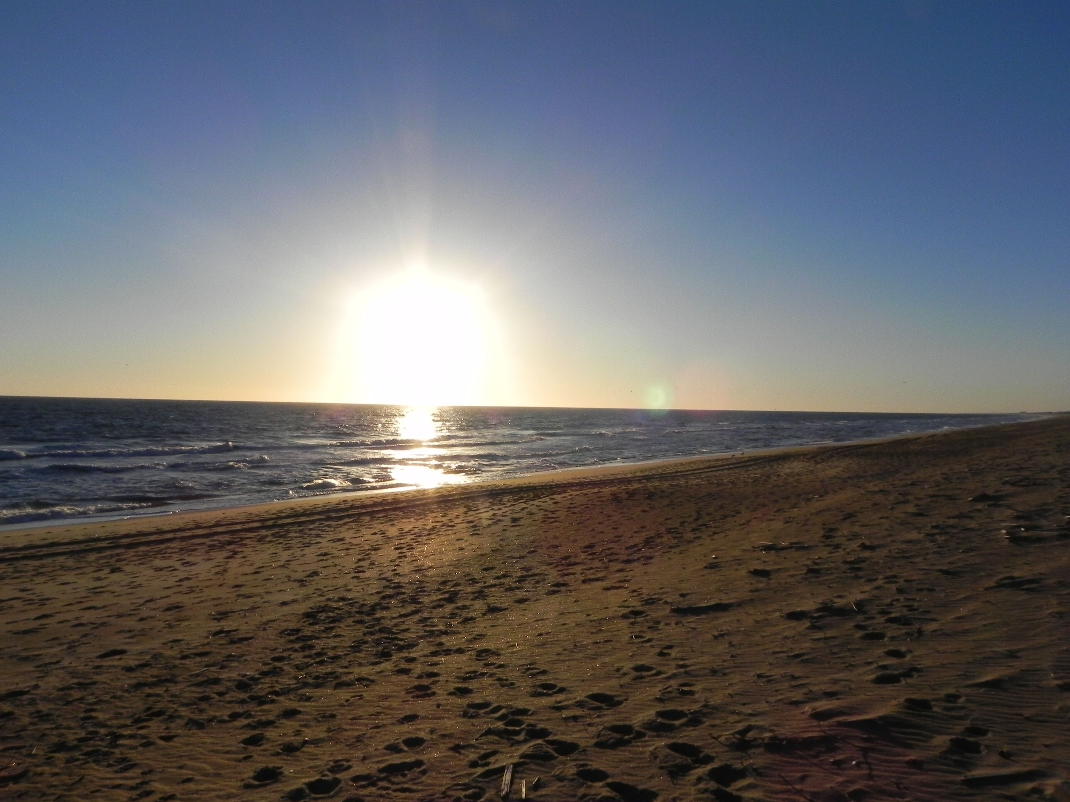 Una playa con huellas que conducen al agua, cielo despejado y el sol poniéndose o saliendo.