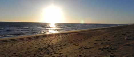 Una playa con huellas que conducen al agua, cielo despejado y el sol poniéndose o saliendo.