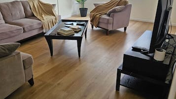 Televisión, reproductor de DVD y libros