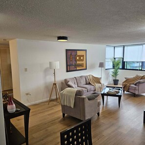 TV, DVD player, books