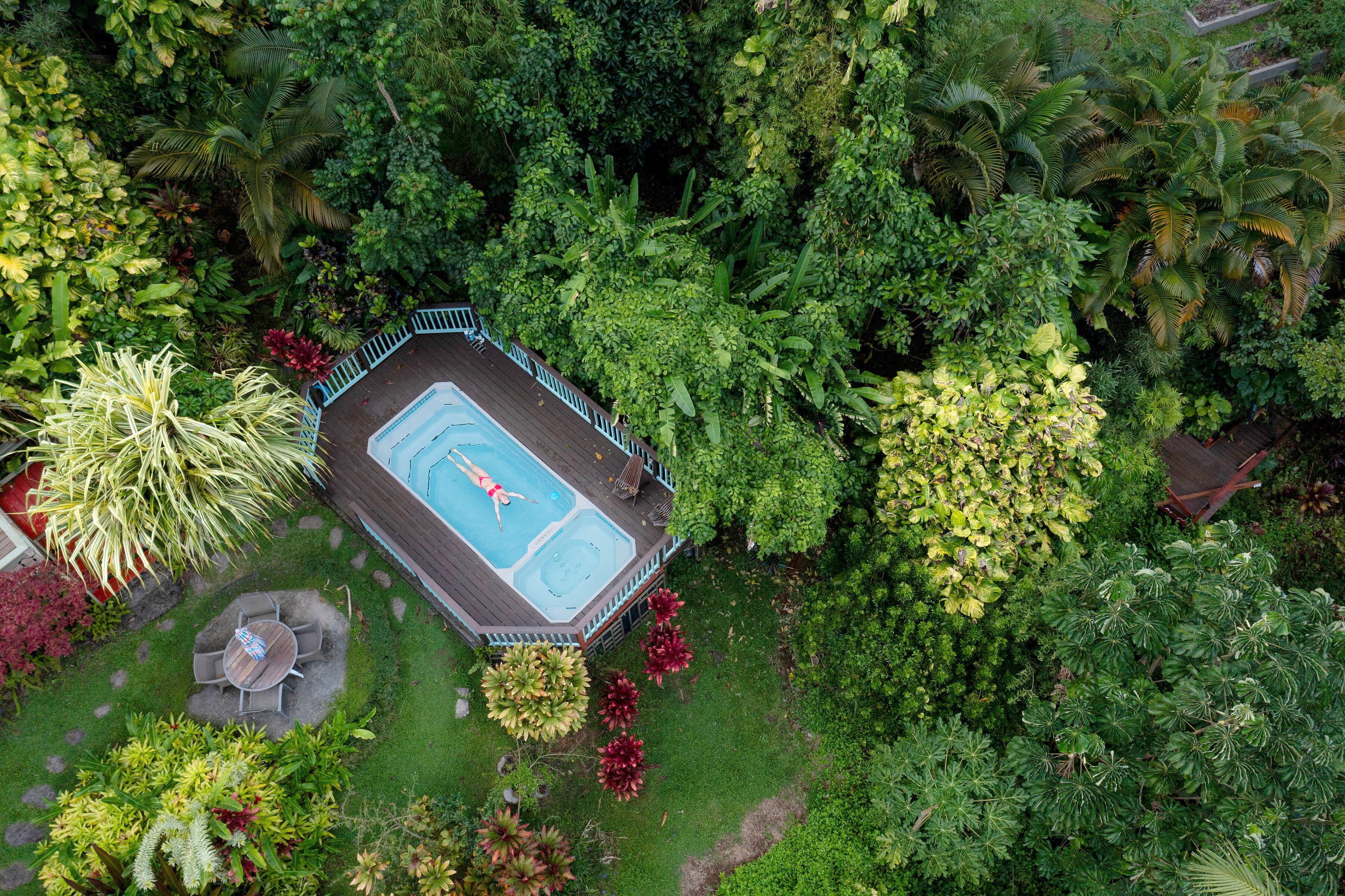 Vue aérienne d’une cour arrière avec une piscine, entourée d’une végétation luxuriante et de différentes plantes.