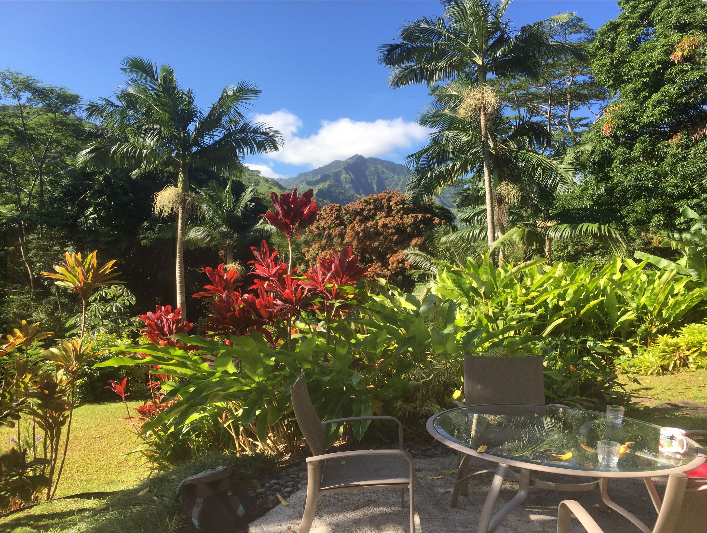 10 Best PetFriendly Rentals In Kauai, Hawaii Updated 2024 Trip101