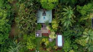 An aerial view of a house surrounded by lush greenery, including palm trees and various plants. - Romantic Cottage, Private Acre of Paradise, View! Pool! (Hanalei)