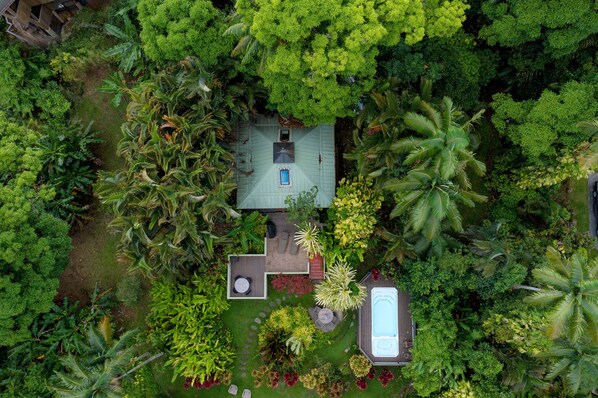 An aerial view of a house surrounded by lush greenery, including palm trees and various plants.