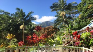 A pool area with a wooden deck, surrounded by tropical plants and a mountain backdrop. - Romantic Cottage, Private Acre of Paradise, View! Pool! (Hanalei)
