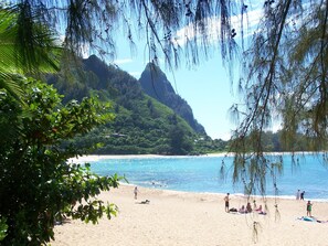 A beach with clear blue water, sandy shore, and lush green hills in the background.