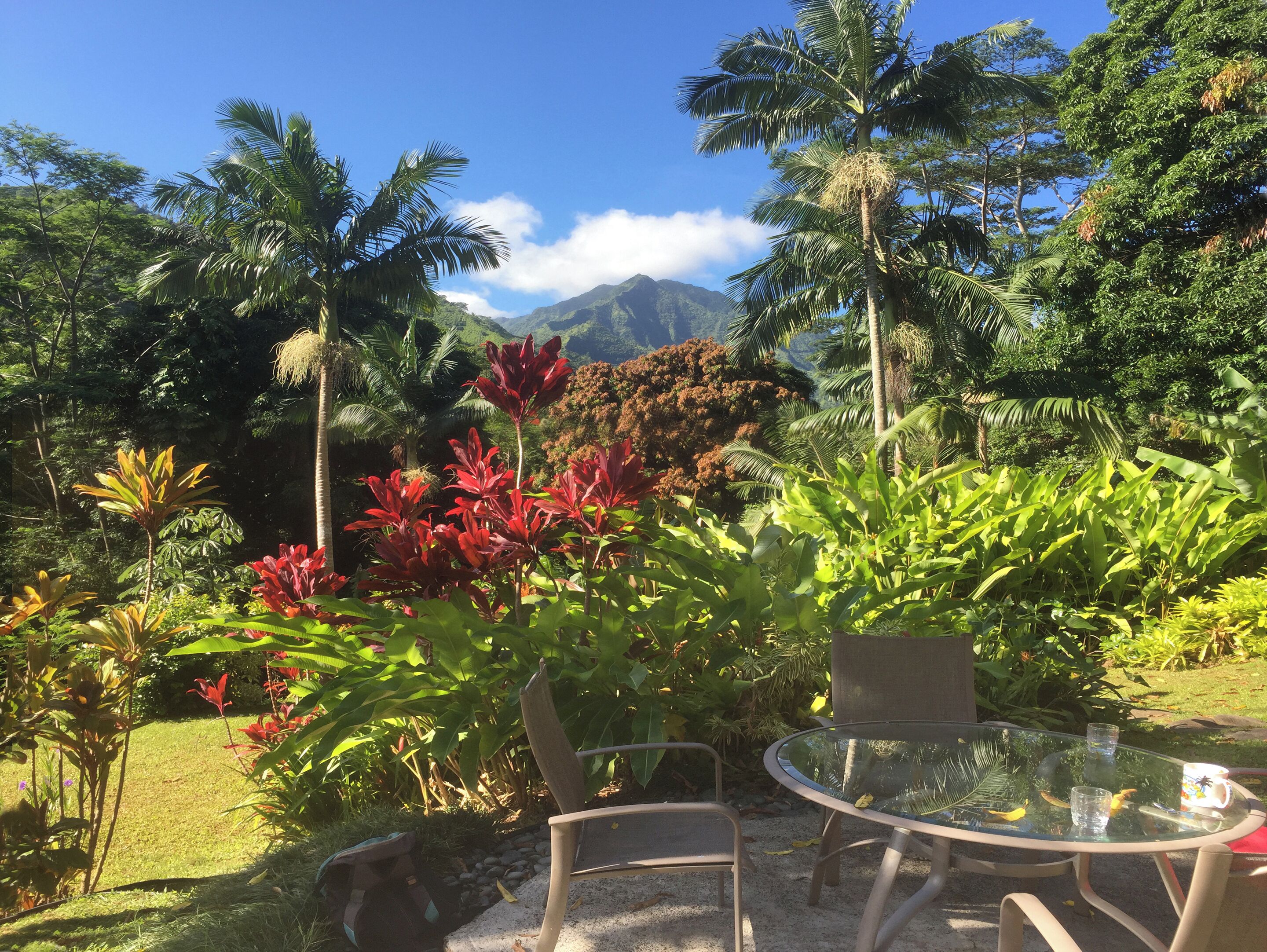 A glass table with chairs in a garden setting with tropical plants and a mountain in the background.