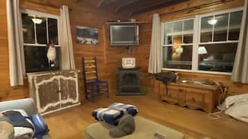 Televisión de pantalla plana, chimenea, reproductor de DVD y libros