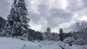 A snowy landscape with a clear path leading through the trees. - Fivespot Cabin, an art and nature lover's retreat (Pinehurst)