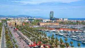 Un port de plaisance avec de nombreux bateaux, un paysage urbain composé de bâtiments modernes et historiques, et un ciel dégagé.