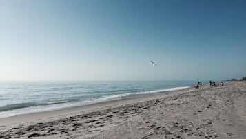 Sun loungers, beach towels