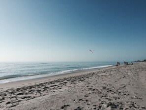 Sun loungers, beach towels - Top Rated Villa For Rent! Short Walk To Beach. Swimming Pool. Family-Friendly (Englewood)