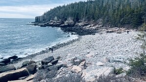 Une plage rocheuse, avec une falaise boisée et des vagues déferlantes sur l’océan.