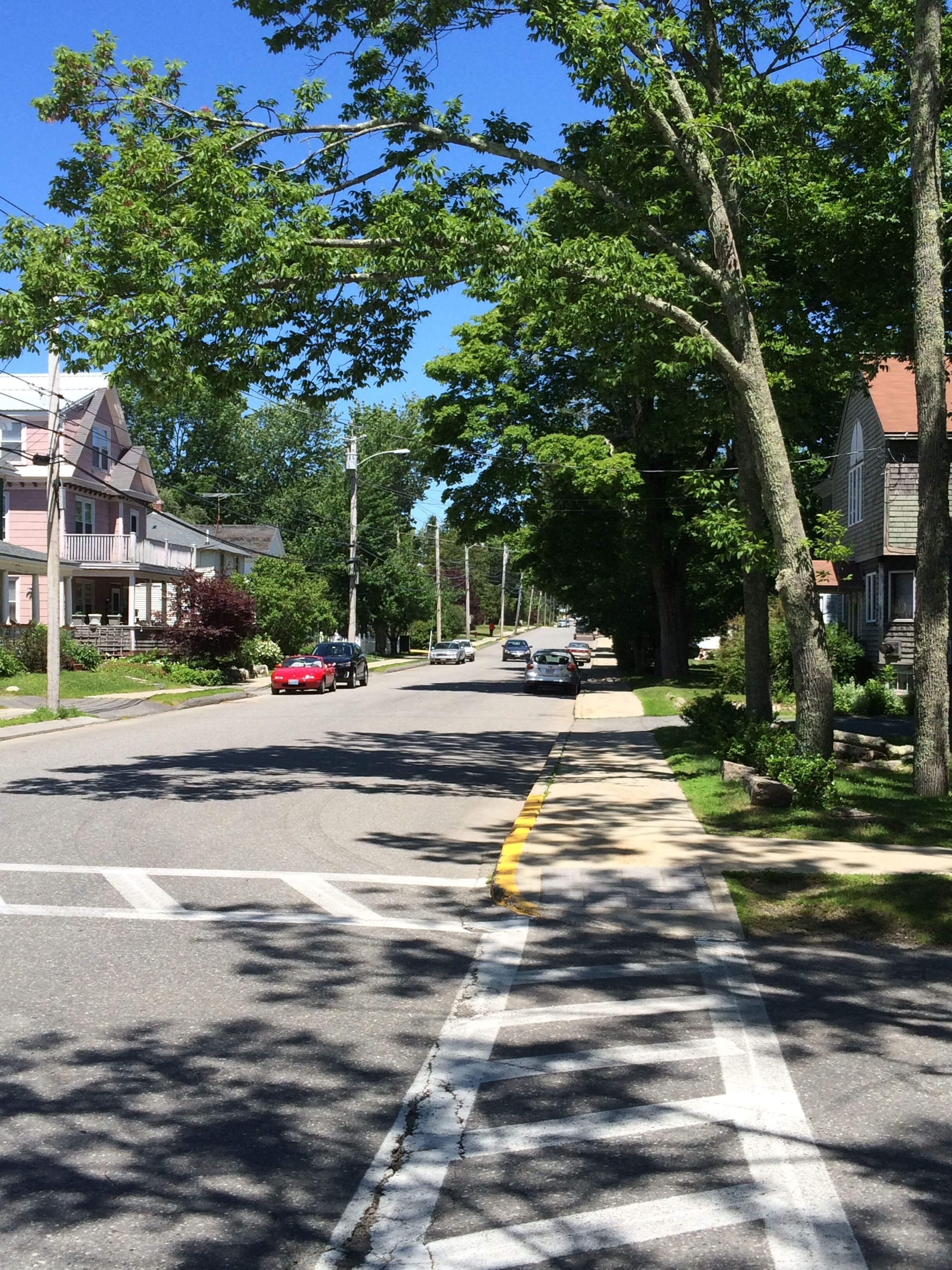 Top 12 PetFriendly Vacation Rentals In Bar Harbor, Maine Updated