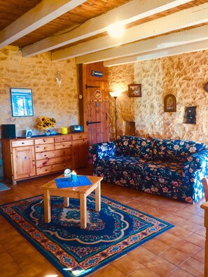 Télévision, cheminée, livres