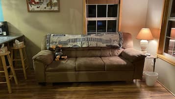 Smart TV, fireplace, DVD player, books