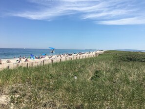 Plage à proximité, chaises longues, serviettes de plage