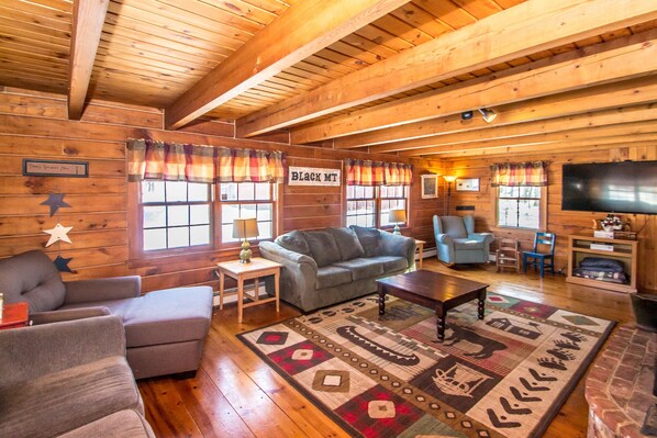 Smart TV, fireplace, books