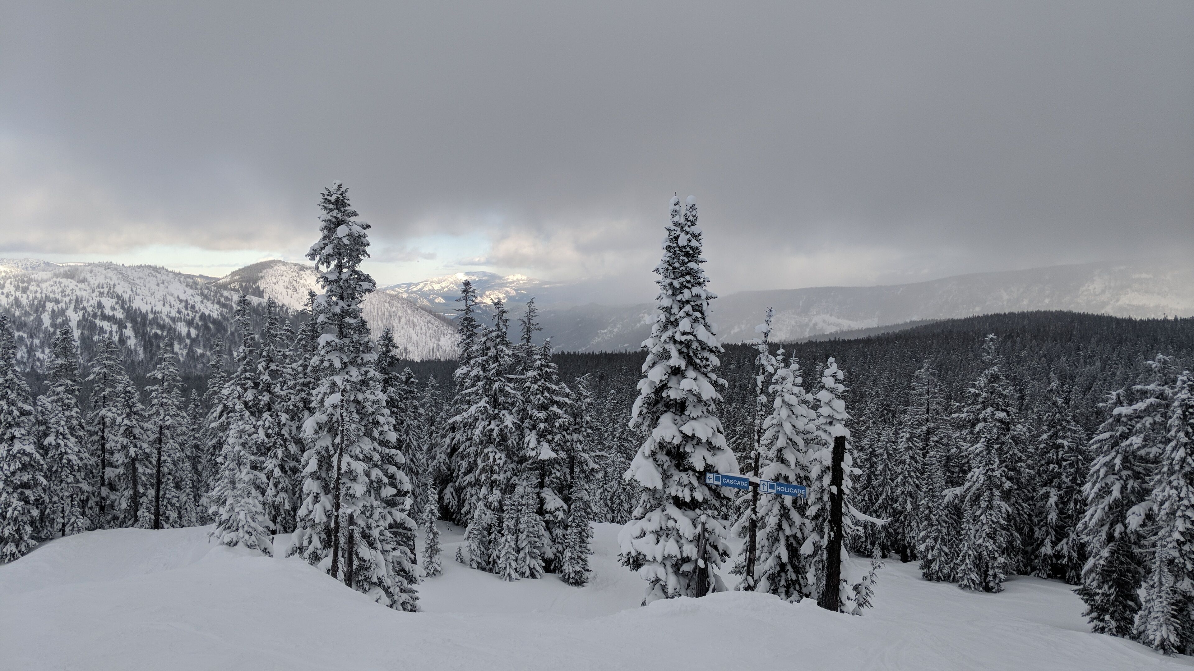 A snowy mountain landscape with evergreen trees and a clear sky.