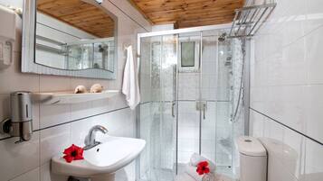 Shower, hair dryer, towels, toilet paper