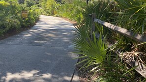 Un chemin pavé bordé d’une végétation luxuriante et d’une clôture en bois.