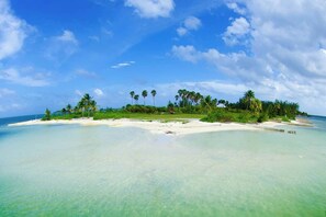 A tropical beach with clear turquoise water, white sand, and palm trees. - Waterfront Korner Kai 2BR -- Pool, Jacuzzi & Beachfront Lanai (Cayman Kai)