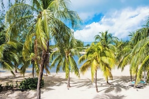 A beach with palm trees and a clear sky.