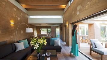 Smart TV, fireplace, music library, stereo