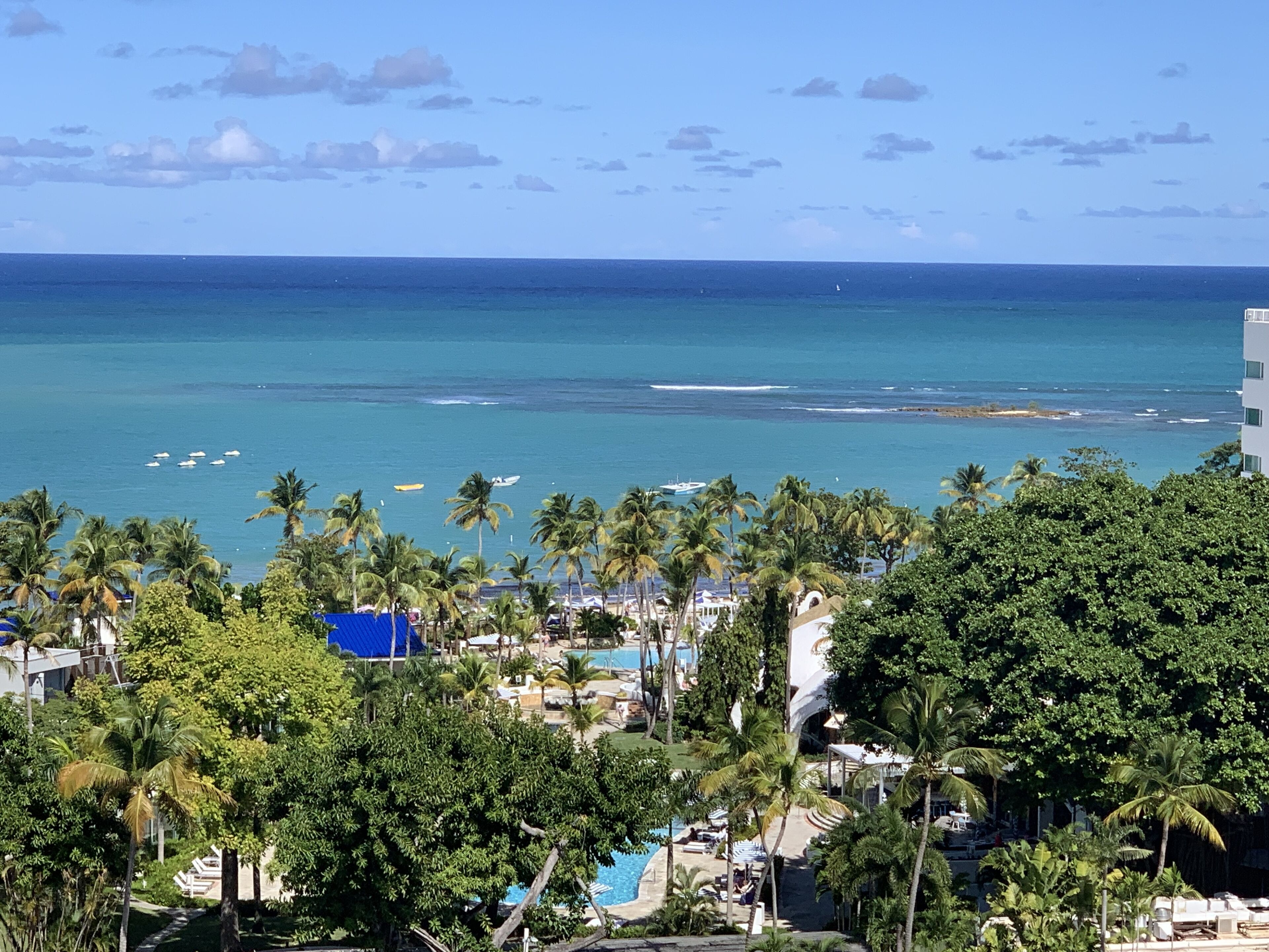 A coastal resort with a pool area surrounded by palm trees and a view of the ocean.