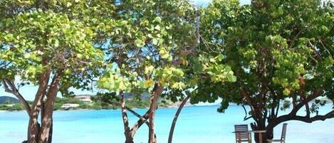 En la playa, camastros y toallas de playa