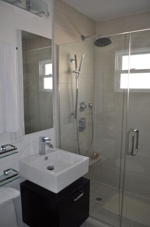 Shower, hair dryer, towels, soap