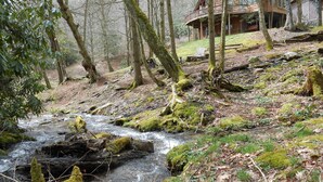 A cabin with a deck overlooking a forested area and a stream.