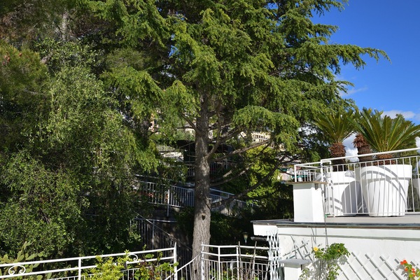 Dachterrasse mit Blick in Richtung der Wendeltreppe und Pflanzen und Blumen