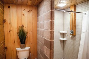Combined shower/bathtub, hair dryer, towels, soap