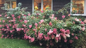 Ett hus med en mörk fasad, vita fönsterramar och en välskött häck med rosa blommor.
