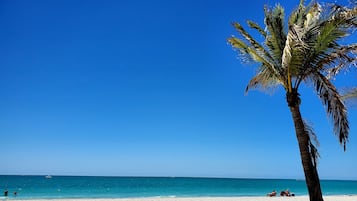 Une plage avec un palmier, un ciel bleu clair et une mer calme.