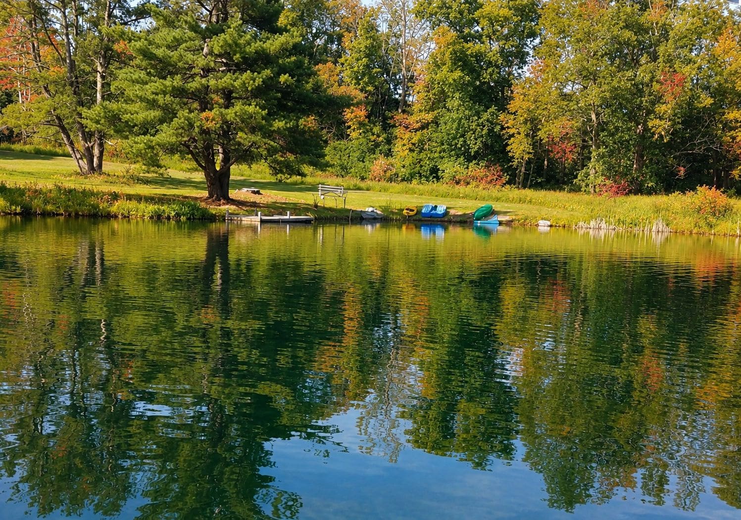 A tranquil pond with a bench and boats, surrounded by trees and grass.