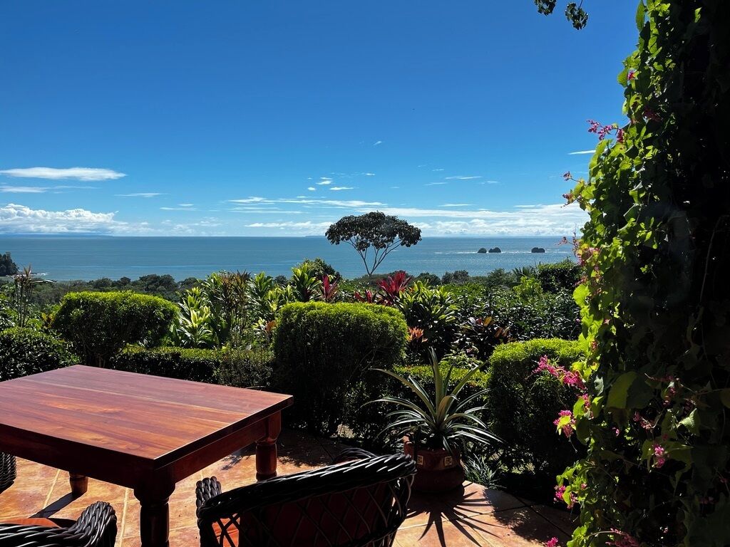 An outdoor patio with a wooden table and chairs, surrounded by lush greenery and a view of the sea.