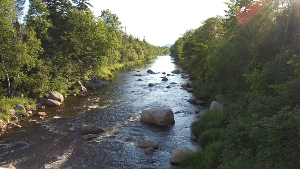 Ein Fluss fließt durch eine bewaldete Gegend mit Felsen und Bäumen.