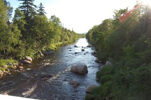 Une rivière qui traverse une zone boisée, avec des rochers et des arbres.