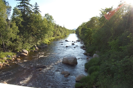 Mt Washington Home Escape W/ Jacuzzi : Pets Welcome With Private Backyard