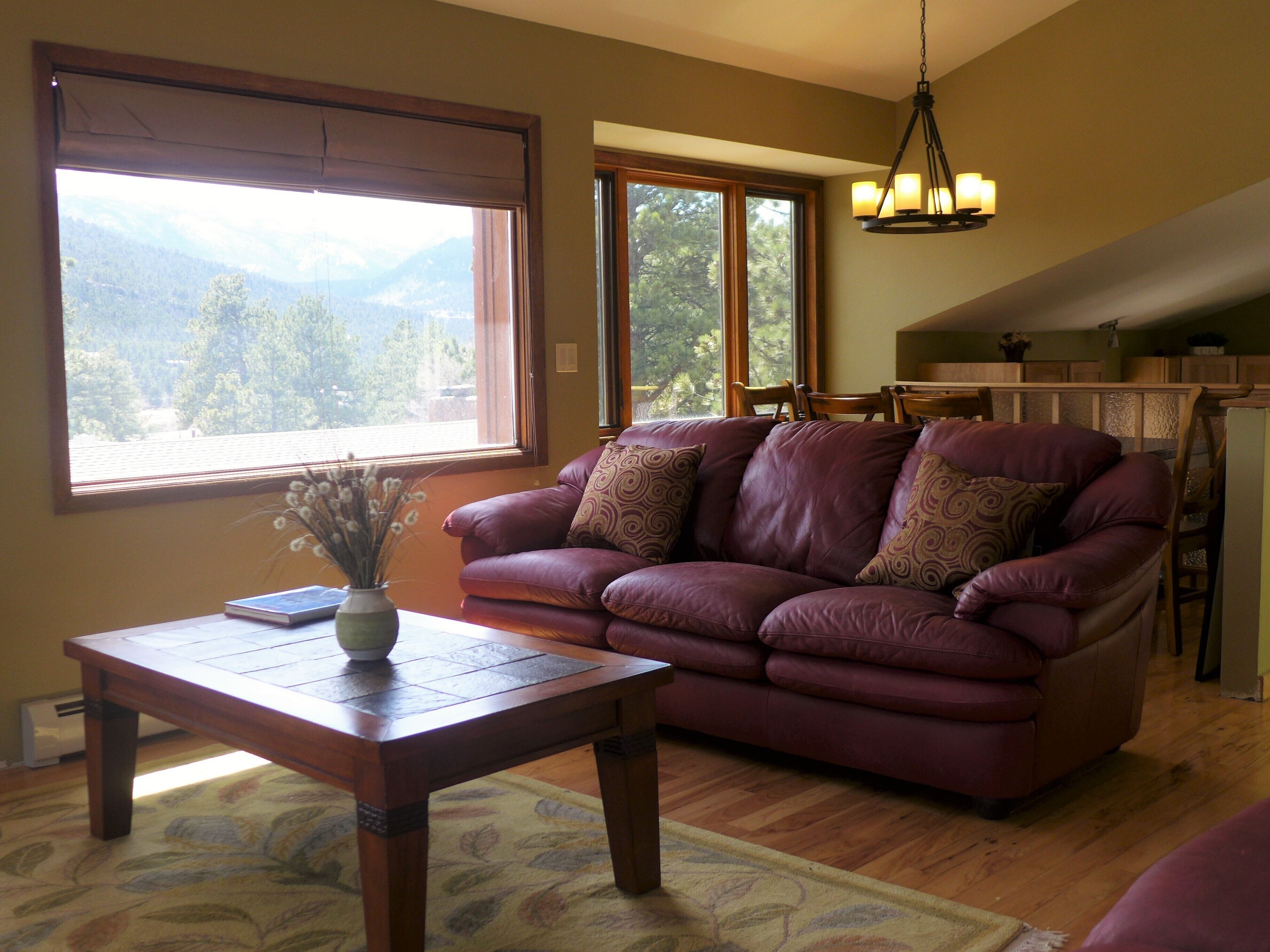 Télévision LCD, cheminée, lecteur de DVD, livres