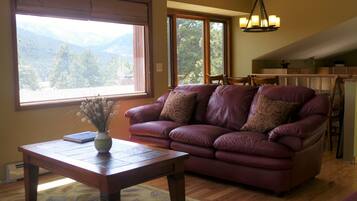 Télévision LCD, cheminée, lecteur de DVD, livres