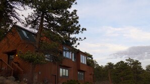 Eksteriør