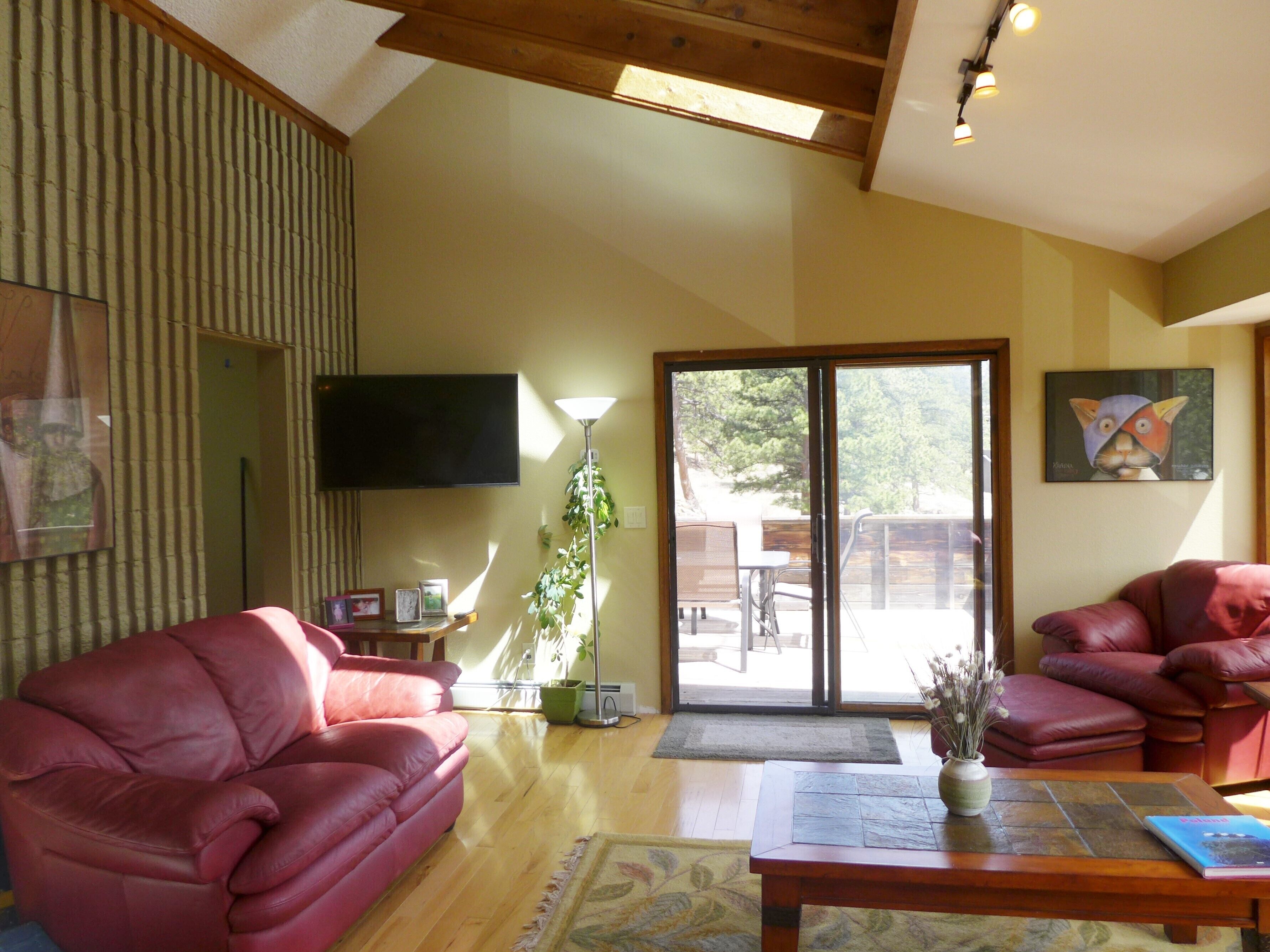 LCD TV, fireplace, DVD player, books